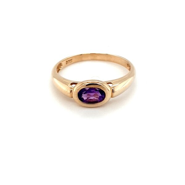 Leon Baker 9K Yellow Gold and Amethyst Dress Ring_0