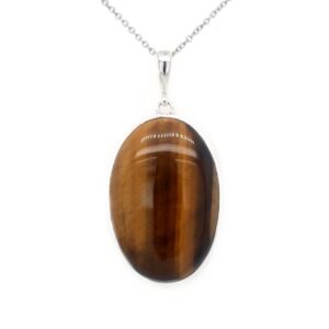 Leon Baker Sterling Silver and Tiger's Eye Pendant_0