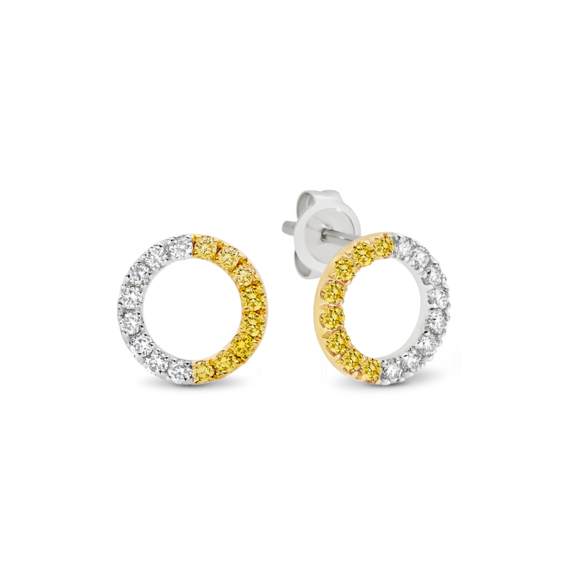 Desert Rose Classic 18K Yellow White Gold Circle Earrings_0