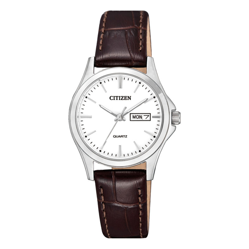 Citizen Classic Silver and Brown Watch_0