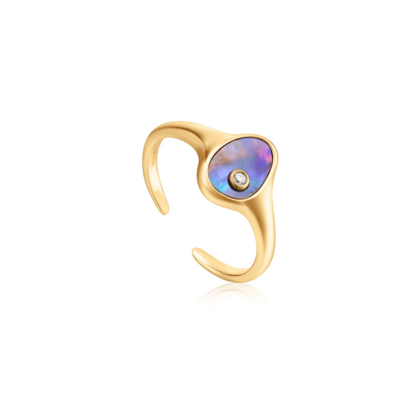 Ania Haie Gold Tidal Abalone Adjustable Signet Ring_0