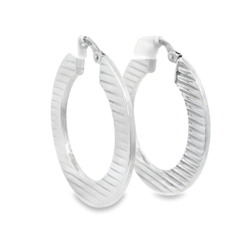 Earring Striated Hoops_0