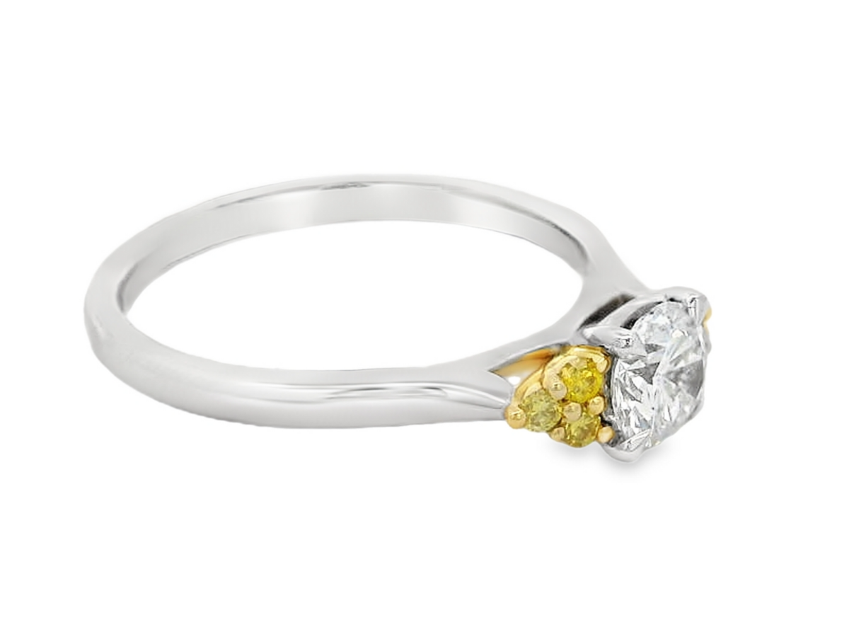 Desert Rose 18K White and Yellow Gold Trilogy Ring_1