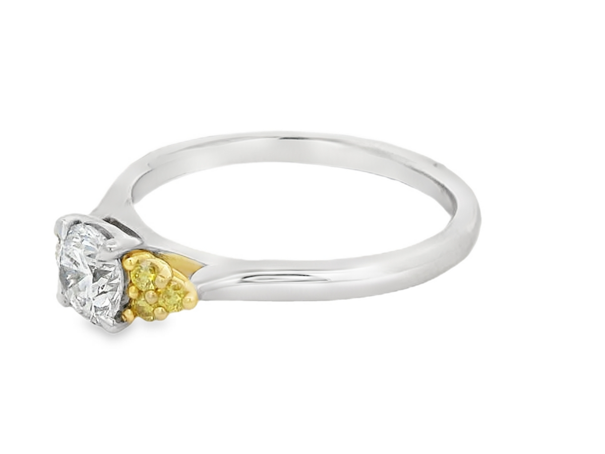 Desert Rose 18K White and Yellow Gold Trilogy Ring_2