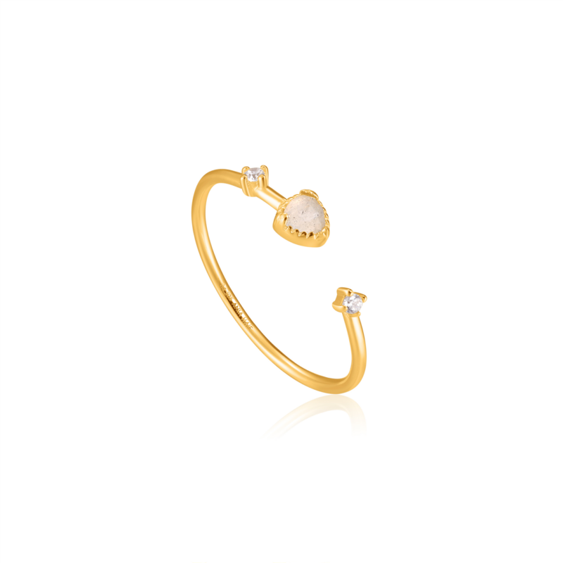 Ania Haie Gold Midnight Adjustable Ring_0